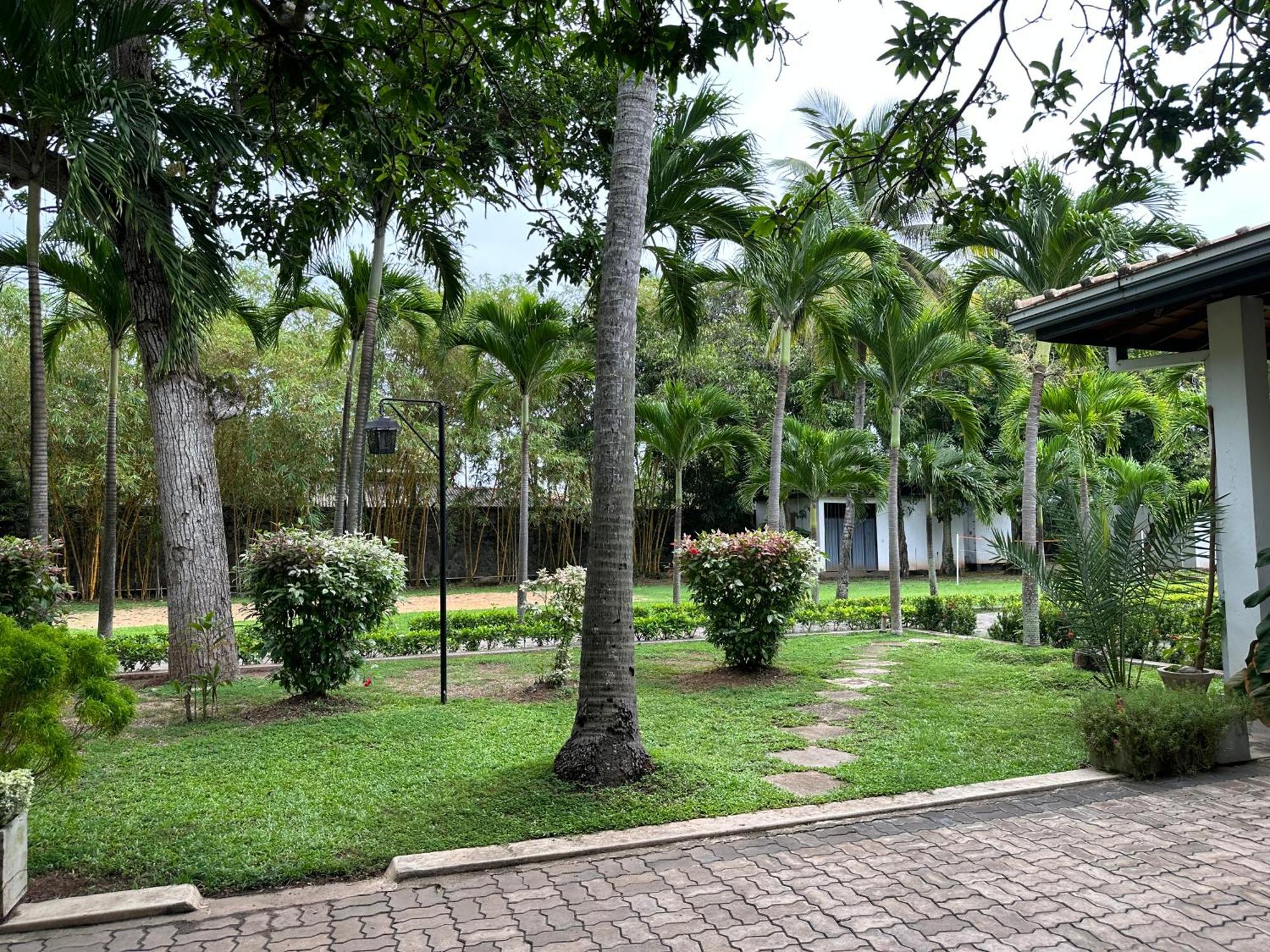 Amaluna Resorts Negombo Kültér fotó