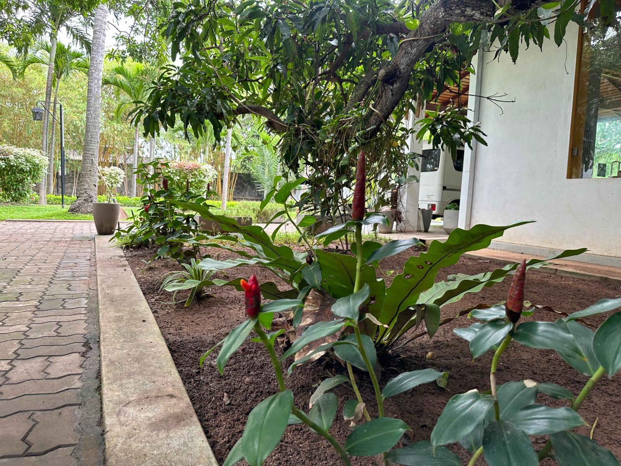 Amaluna Resorts Negombo Kültér fotó