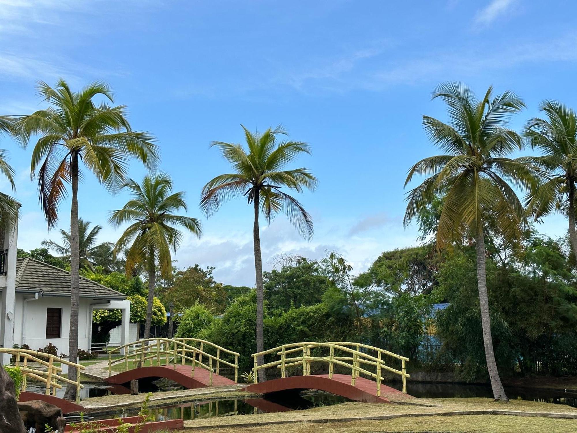 Amaluna Resorts Negombo Kültér fotó